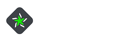 Logo raizen machine
